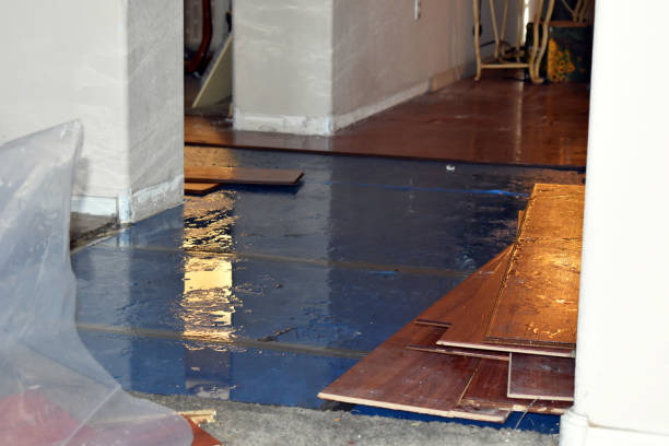Professional Water Damage technician working in College Corner, OH